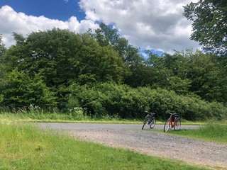 ein Mountainbike und ein normales Fahhrad auf einer Lichtung in einem Wald in der Eifel bei Cochem