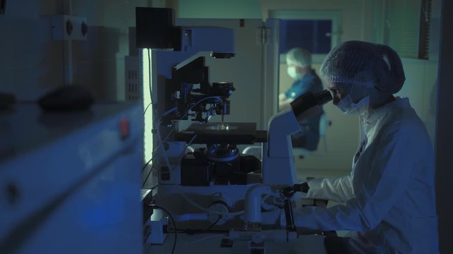In a Modern Laboratory Scientist Conduct Experiments. The embryologist Examines Samples with a Microscope
