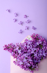 Beautiful lilac flowers at envelope on a same color background. Minimalistic floral trendy composition.