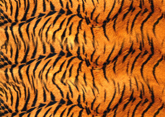 abstract animal skin texture design