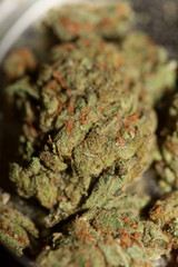 Cannabis close up super skunk lemon haze background stock photos high quality prints