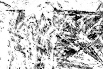 Random black-white fractal pattern. Abstract fractal shapes. Suitable for wallpapers and posters, web, cards, etc.