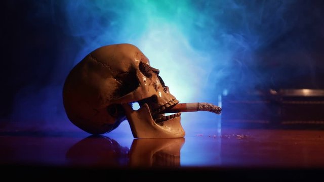 No smoking concept. Creative artwork table decoration with cigarettes. Cigarettes cause cancer and kill. still life skull and sigarette. Selective focus