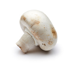Mushroom Isolated on White Background