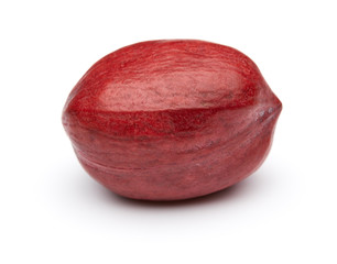 Pecan Isolated on White Background