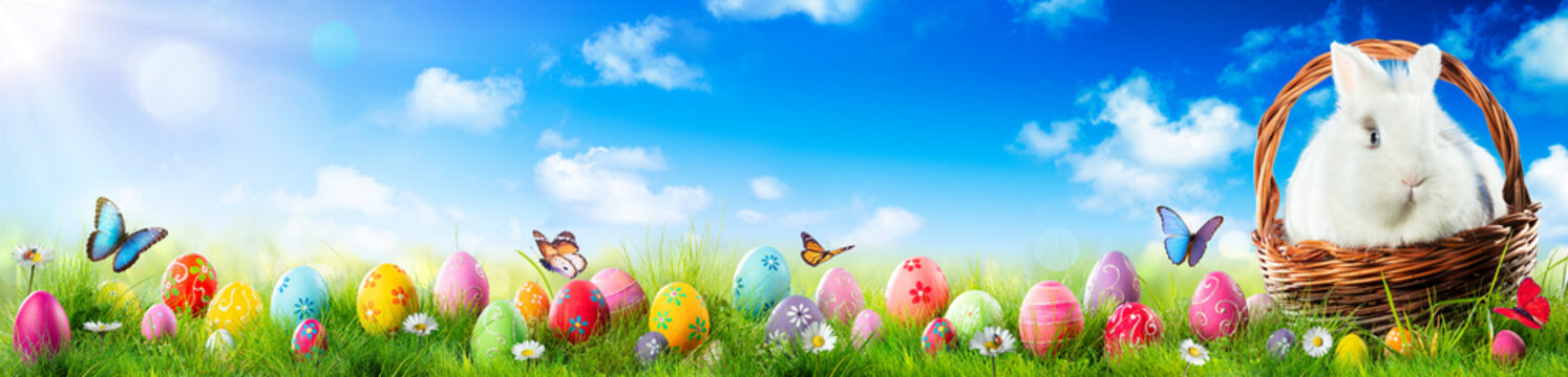 Easter Eggs And Adorable Bunny In Basket On Grass