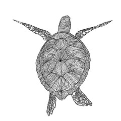 Adult coloring  books. New  Turtle in mandala patterns. Antistress coloring. Patterned tortoise. Coloring.