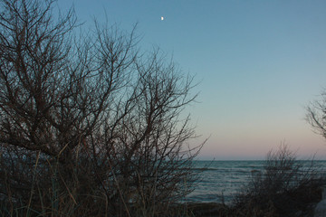  Landscape of Jarylgach Island, Ukraine. Black Sea coast in evening.