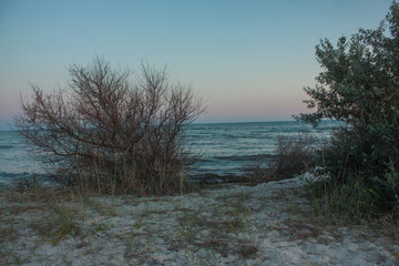  Landscape of Jarylgach Island, Ukraine. Black Sea coast in evening.