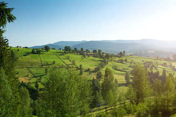 Village in the mountains. Sunny day in the Ukrainian Carpathians