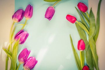Beautiful Spring tulips on paper background