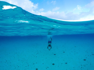 boy swimming with starfish in the caribe, photo taken with a dome