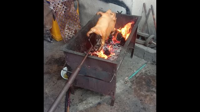 Roasted suckling pig Asian cuisine Street food