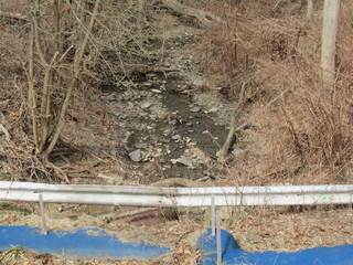 Denny Park PA creek
