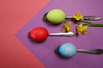 Colored eggs on spoons with spring daffodils from top view