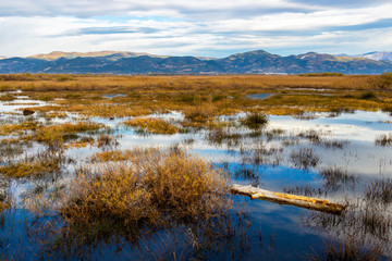 Lake Vistonida beautiful view with water surface reflections on a sunny winter day in Xanthi regional unit, Greece