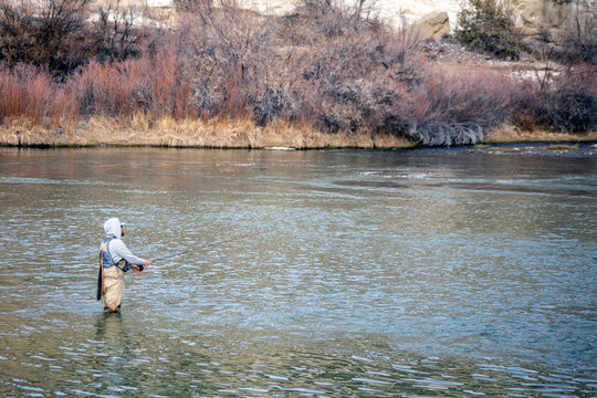 Fly Fishing 01