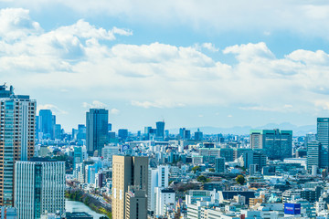 Naklejka premium Pejzaż Tokio