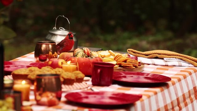 picnic table visited by a hungry bird
