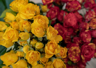 Top shot of yellow and red roses 