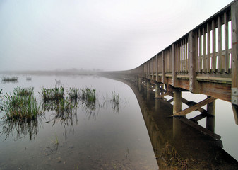 Fog covered walkway at the Wellington Marsh Trail