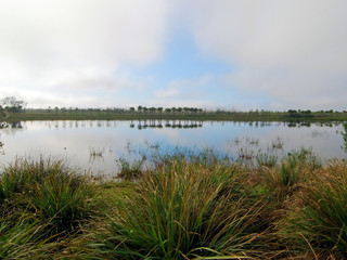 Cloud reflections at the Wellington Preserve in Florida