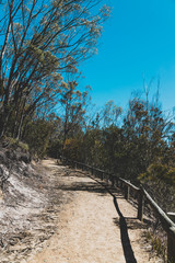 Fototapeta premium wild Tasmanian landscape and pristine turquoise water of the Derwent River as seen from Legacy Beach walking track