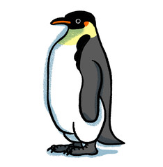 コウテイペンギン