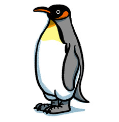 キングペンギン