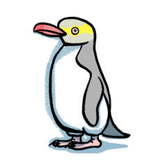 キガシラペンギン