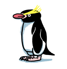 シュレーターペンギン