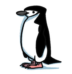 アゴヒゲペンギン