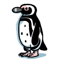 マゼランペンギン