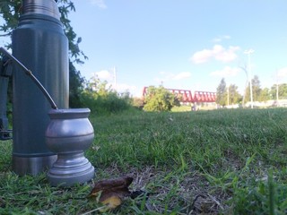 Obraz premium Mate argentian in garden
