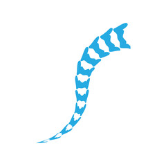 Spine diagnostics symbol logo template vector illustration design