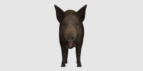 Extremely detailed and realistic high resolution 3d illustration of a pig