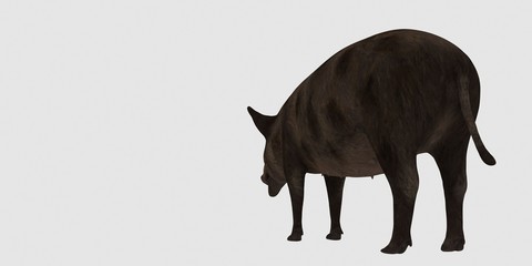 Extremely detailed and realistic high resolution 3d illustration of a pig