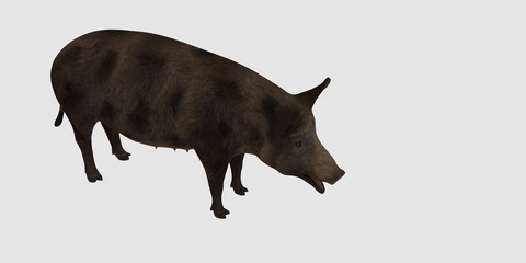 Extremely detailed and realistic high resolution 3d illustration of a pig