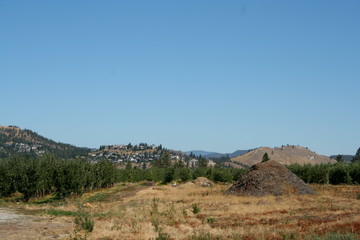 hill country subdivision blue sky
