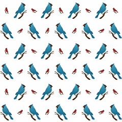 Fototapeta na wymiar Red And Blue Bird Cute Illustration, Cartoon Funny Character, Pattern Wallpaper