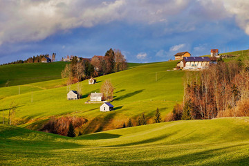 Obraz premium Landscape with woods and farm houses