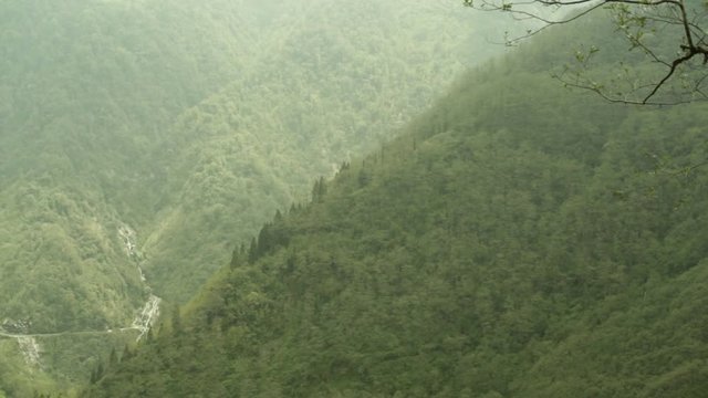 Lush mountain forest in the Himalaya mountains, long shot, pan left
