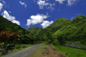Fototapeta na wymiar vallée sur tahiti à teahupoo