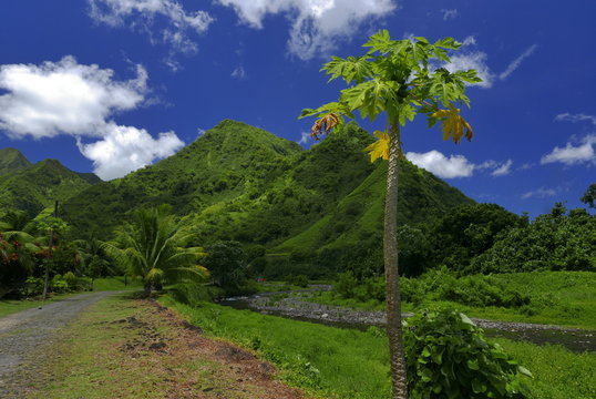 vall&eacute;e sur tahiti &agrave; teahupoo