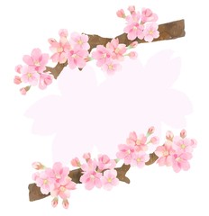 桜の枝　フレーム