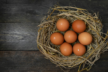 Chicken egg in nest on wooden table.