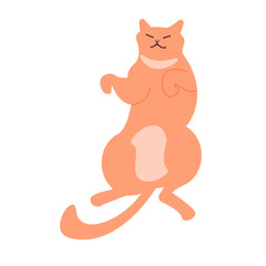 Cat character sound asleep