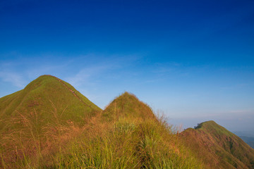 Golden meadow and mountains during sunset. Beautiful natural landscape in the winter time,thailand