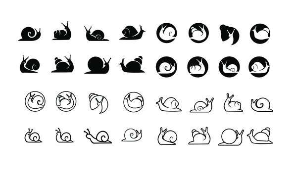 collection of snail silhouette  logo icon designs vector