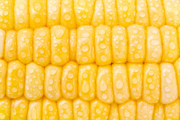 Close up fresh corn texture background.